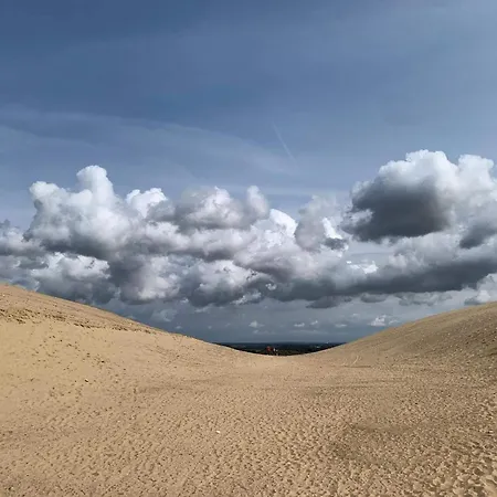 Secluded Retreat - By Traum * Lonstrup